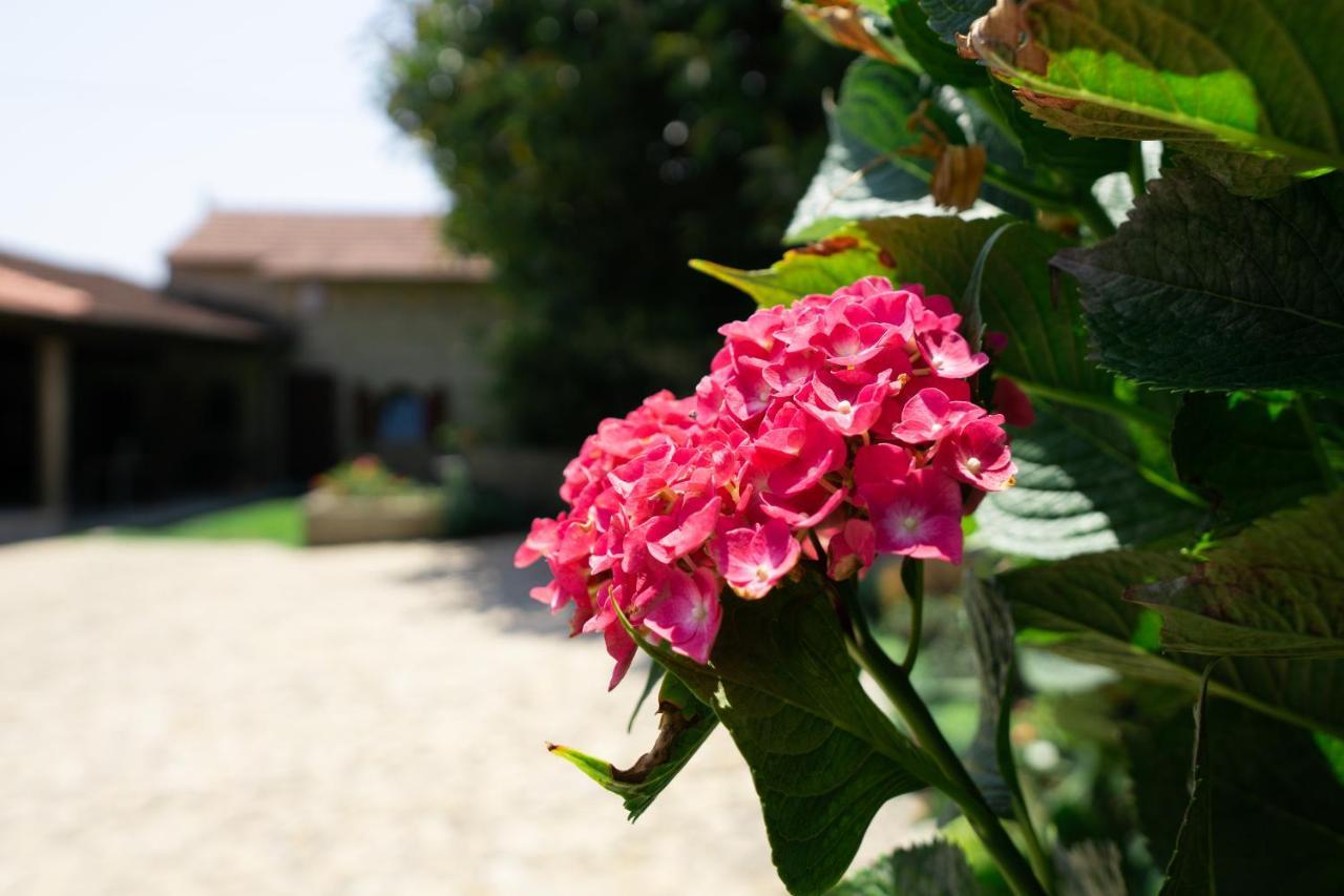 Gião Casa Mindela Farmhouse מראה חיצוני תמונה